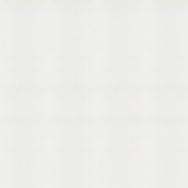 Vliesbehang wit (dessin 02-100)