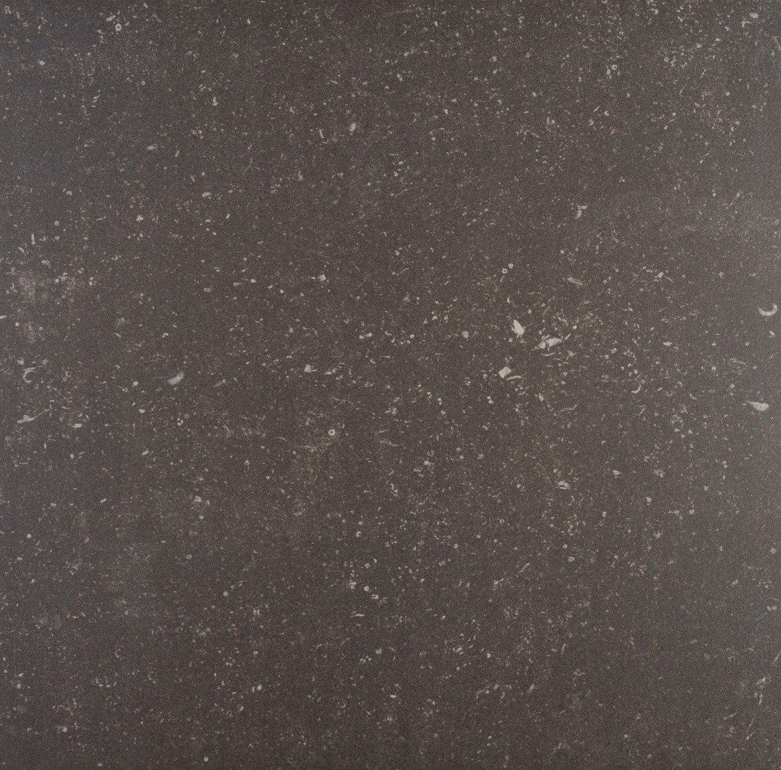 Koruna Vloertegel Zwart 614X614Cm 15M2 huismerk kopen in de aanbieding