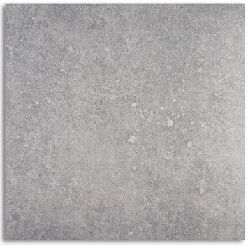 Koruna Vloertegel Grijs 61,4X61,4CM 1,5M2