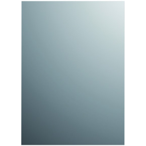Plieger basic spiegel zilver 60 x 45 cm