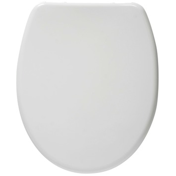 Handson wc bril wit met softclose en quick release toiletzittingen | Karwei