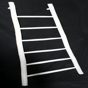 Moedig zoals dat uitdrukken Ladder decoratief teak wit 185 cm | Karwei