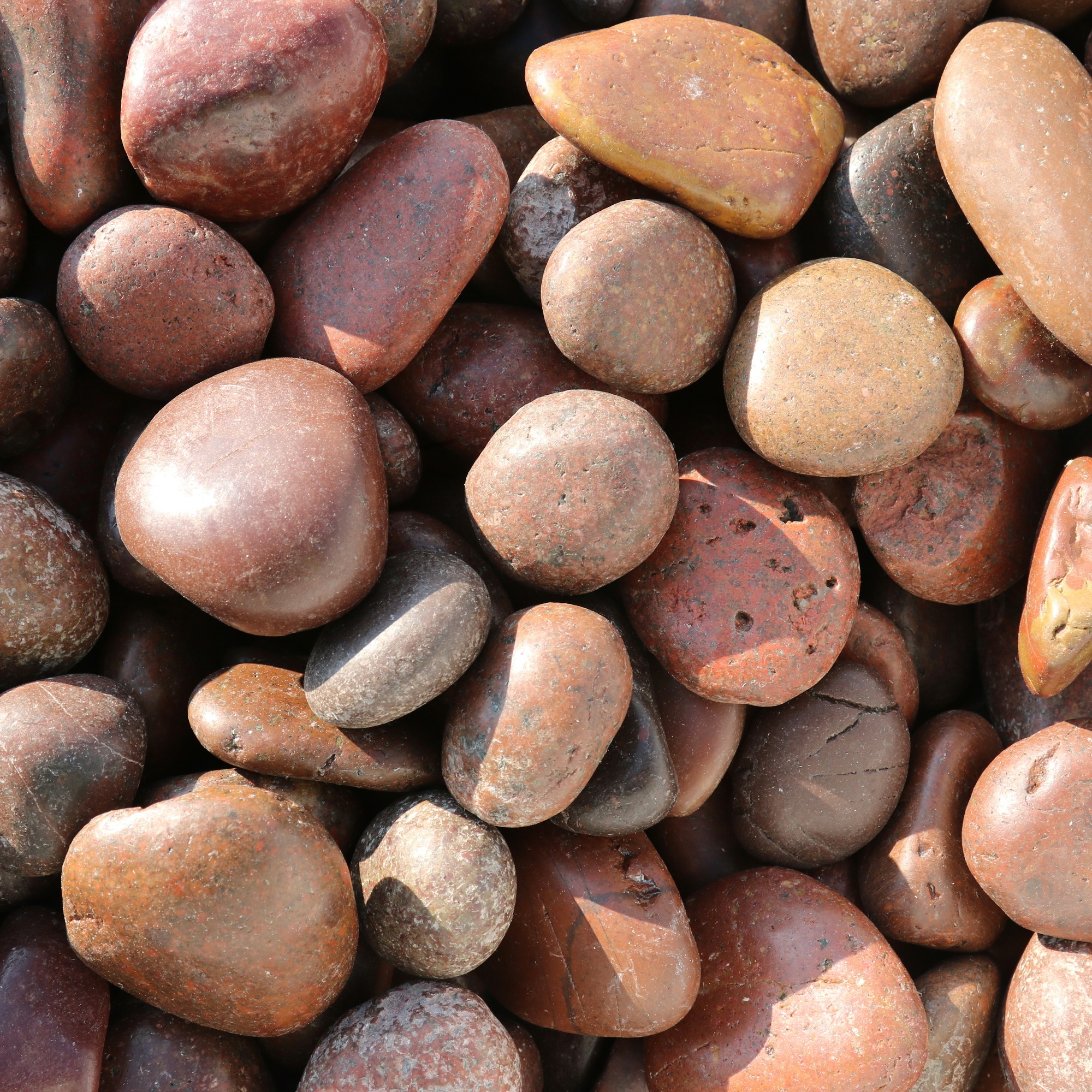 Grind Keien Cappuccino 30 50 Mm 63 Zakken A 15 Kg huismerk kopen in de aanbieding