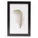 Print in frame - Feather 20x30 cm