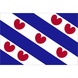 Vlag Friesland 30x45 cm