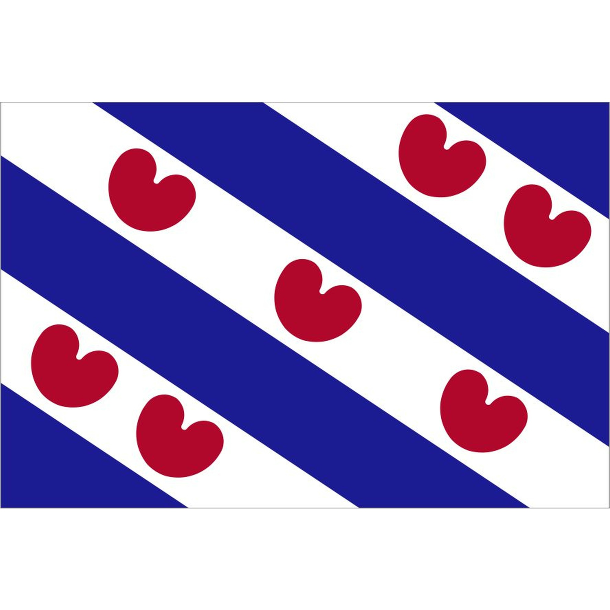 Vlag Friesland 100X150 huismerk kopen in de aanbieding