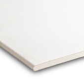 Gyproc gipsplaat 60x200 cm dikte 0,95 cm (RK)