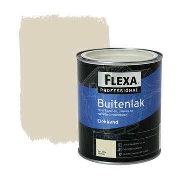 Flexa Professional buitenlak halfglans ral 1013 dekkend 750 ml