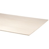 Samengroeiing Sympton Keelholte Populieren multiplex 244x122 cm dikte 9 mm kopen? alle-houten-platen |  Karwei