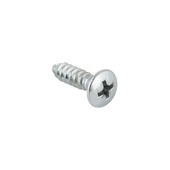Carroserie schroef lenskop Verzinkt 4,8x25 mm 15 stuks