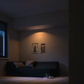 Philips HUE White ambiance inbouwspot Milliskin - zilver