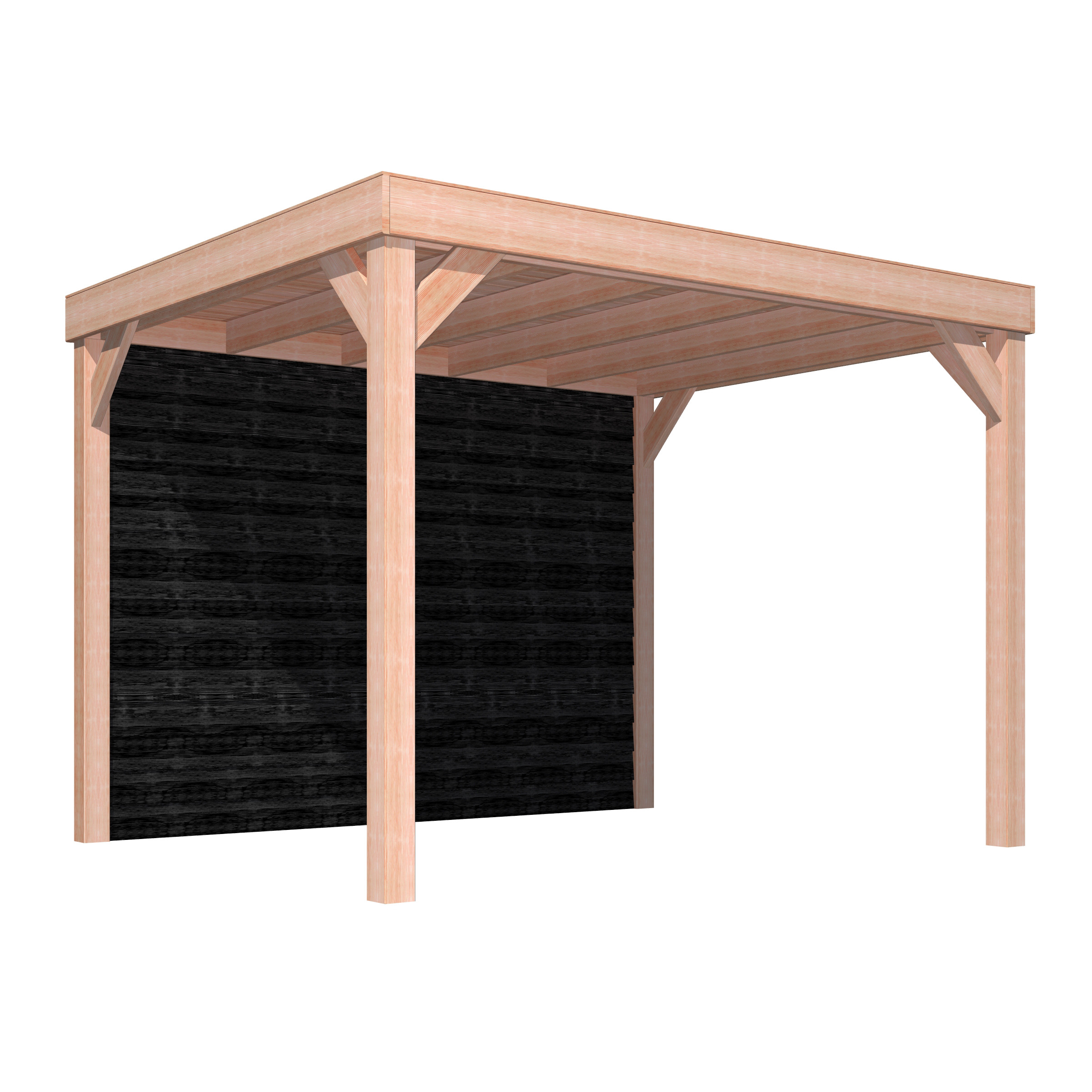 Overkapping Douglas Hout Zwart Met Achterwand 270X330 huismerk kopen in de aanbieding