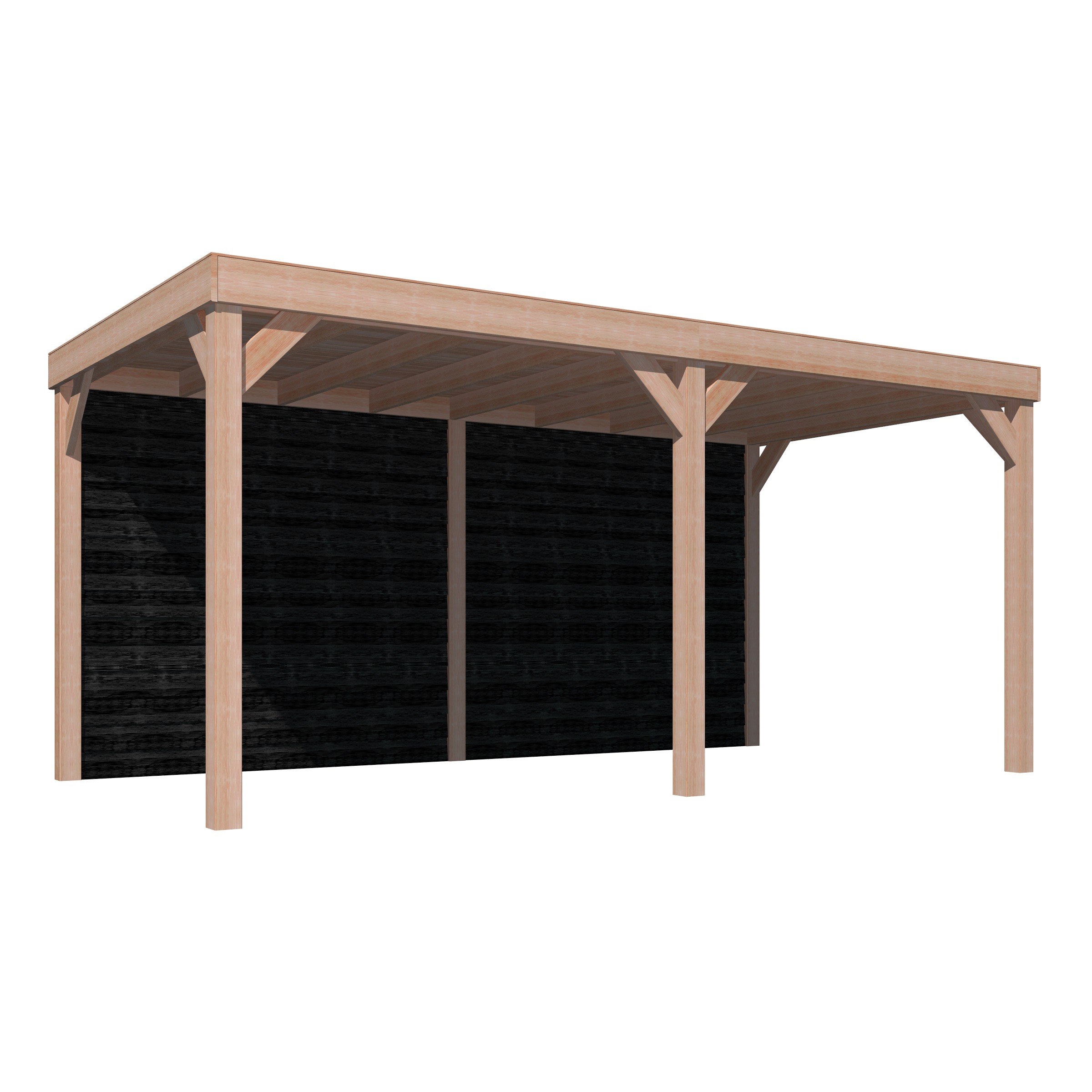 Overkapping Douglas Hout Zwart Met Achterwand 270X522 huismerk kopen in de aanbieding