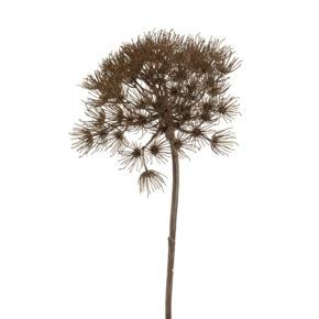 Kunstbloem Berenklauw grijs 80 cm