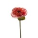 Poppy spray pink 60 cm