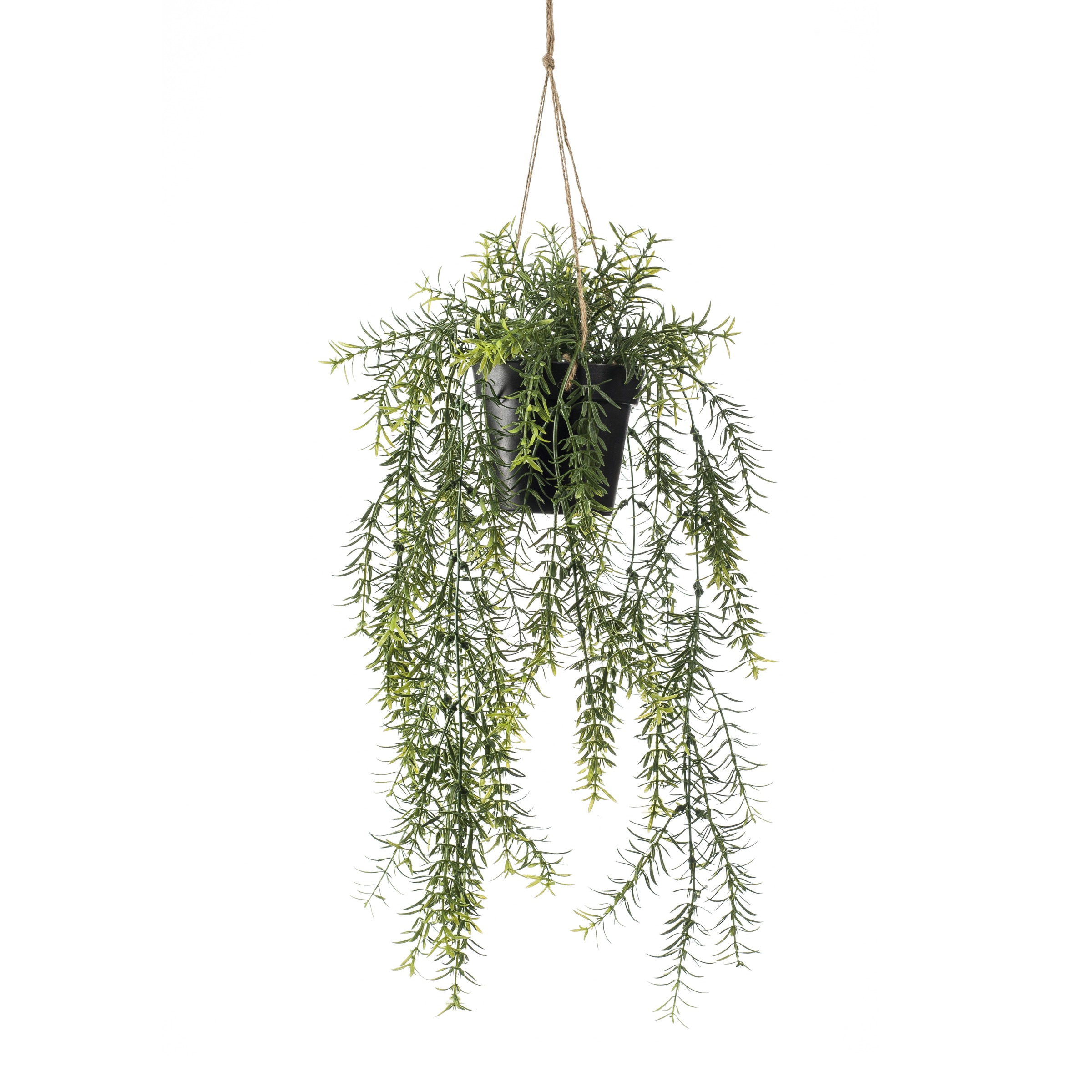 Emerald Kunstplant Asparagus 50 Pot In emerald kopen in de aanbieding