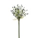 Allium buds spray blue 70 cm