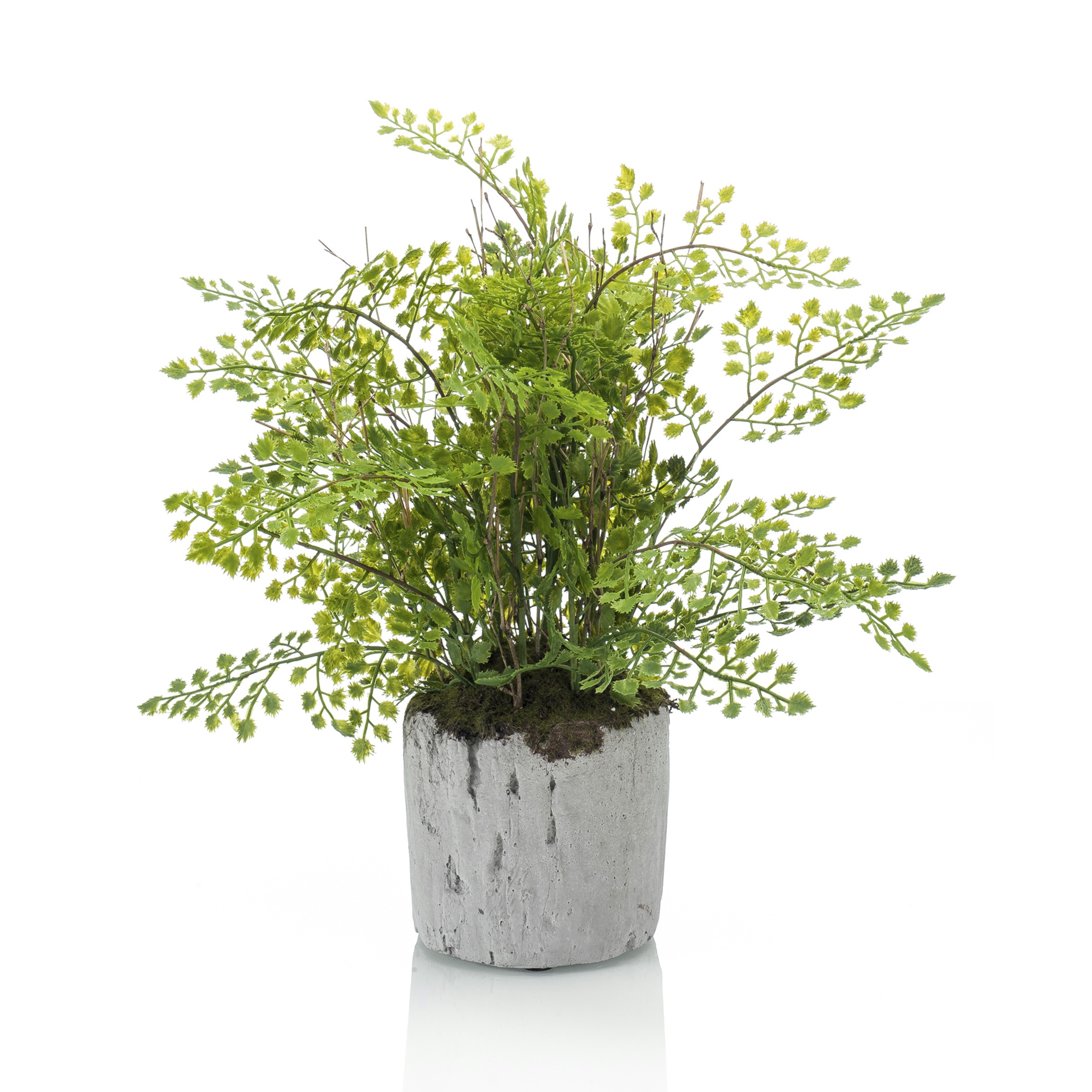 Emerald Kunstplant Fern Adianthum 30 Cm In Pot emerald kopen in de aanbieding