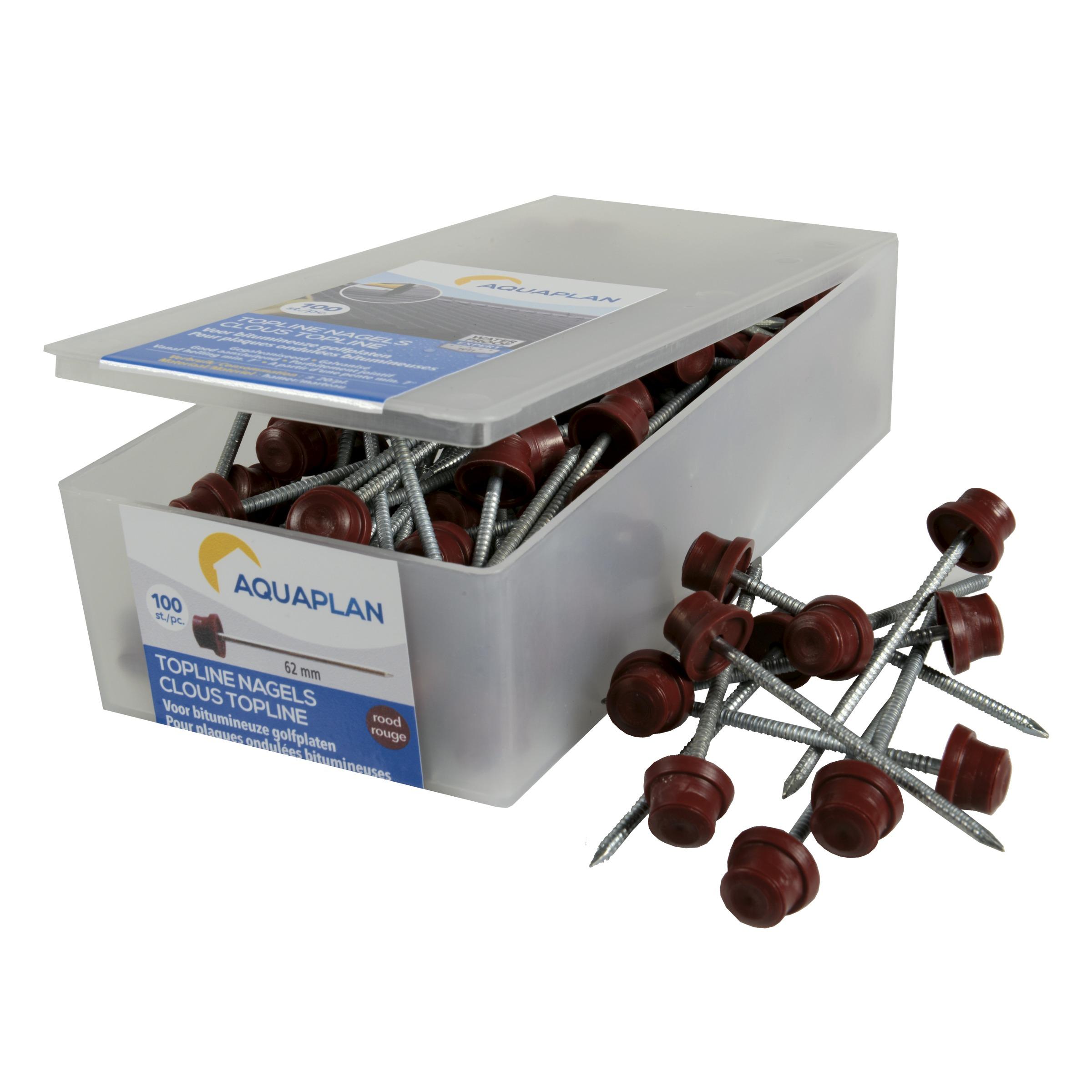 Aquaplan Aqualine Nagels Verzinkt Rood 100 Stuks aquaplan kopen in de aanbieding