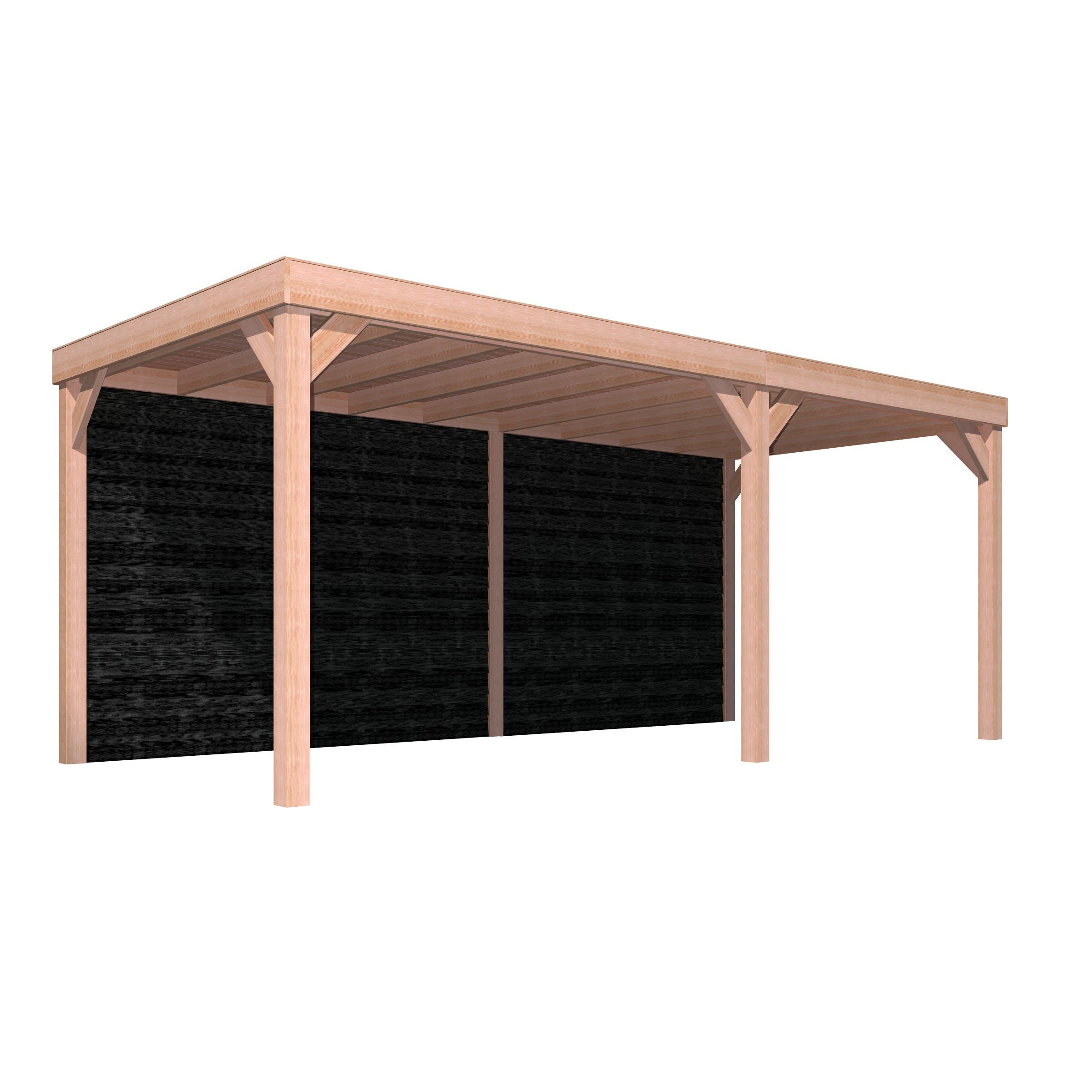Overkapping Douglas Hout Zwart Met Achterwand 270X582 huismerk kopen in de aanbieding