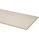 CanDo massief timmerpaneel vuren 250x50 cm 18 mm