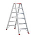 Altrex Prof dubbel oploopbare trapladder Sierra 2x6 treden