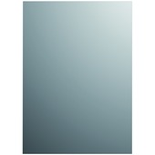 Plieger basic spiegel zilver 120 x 45 cm