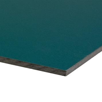 Compactplaat 244x61 cm dikte 6 mm groen