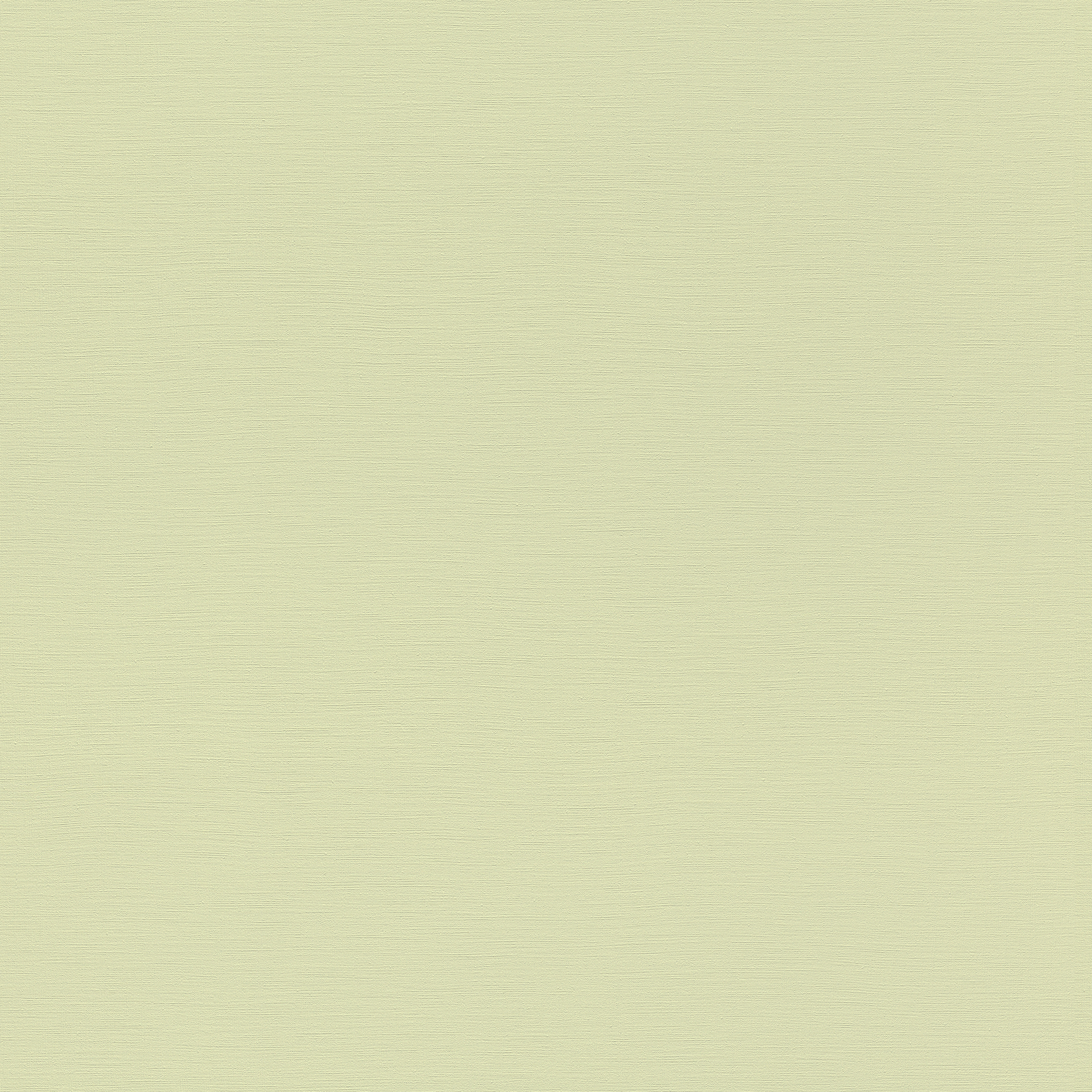 Claas Vliesbehang Uni Lichtgroen claas kopen in de aanbieding