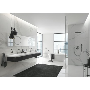 Grohe Colours Wastafelkraan Essence New L Grafiet met Waste