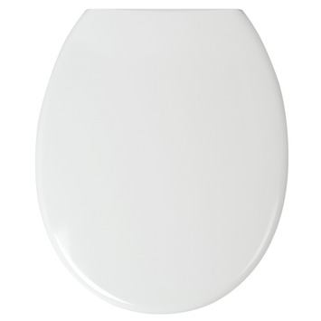 gallon Extreme armoede kussen Plieger WC bril Royal Wit Kunststof met Softclose kopen? | Karwei