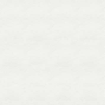 Best Budget Buy papierbehang wit (dessin 329865)