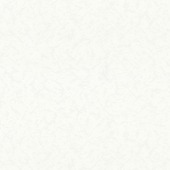 Vinylbehang structuur wit (dessin 463-1)