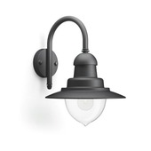 Philips buitenlamp Raindrop zwart