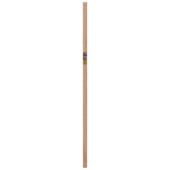 Muurplint Gillis nr. 642 240 cm