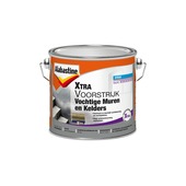 Alabastine xtra voorstrijk vochtige muren en kelders 2,5 l