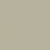 KARWEI kleurstaal houten jaloezie 50 mm leem (945)