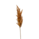 Pampas grass spray rust 92cm