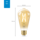 WiZ Connected LED edison E27 50W filament gold koel tot warmwit licht dimbaar