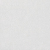 Premium statische raamfolie rijstpapier 150 x 90 cm (334-5016)