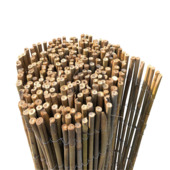 Balkonscherm bamboe ca. 90 x 300 cm