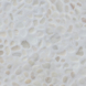 Thumbnail product