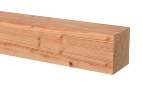 Tuinpaal vierkant Douglas ca. 12 x 12 cm, lengte ca. 300 cm