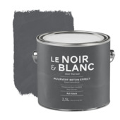 Le Noir & Blanc muurverf betoneffect ash black 2,5 liter