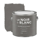 Le Noir & Blanc muurverf betoneffect graphite grey 2,5 liter