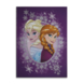 Frozen canvas Elsa & Anna