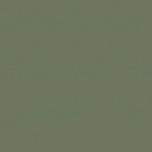 Vliesbehang noani uni groen (dessin 111768)