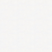 Renovatievlies overschilderbaar wit 25 meter (dessin 7800)