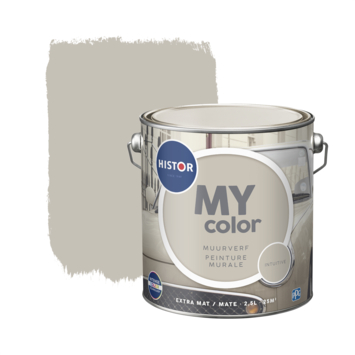 My Color muurverf extra mat intuitive kopen? muurverf-kleur | Karwei