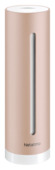 Netatmo Heatlhy Home Coach